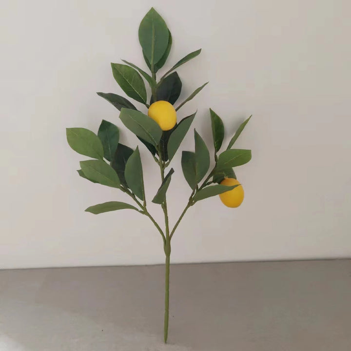 Dekorative Zitronenblätterstiel