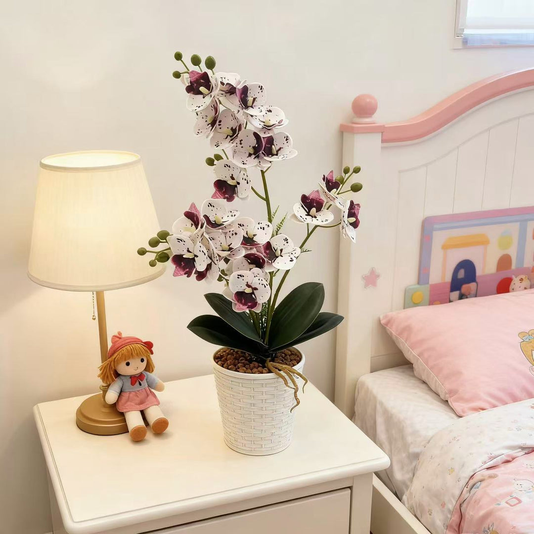 Elegante dekorative Orchideenpflanzenarrangement für die Heimdekoration