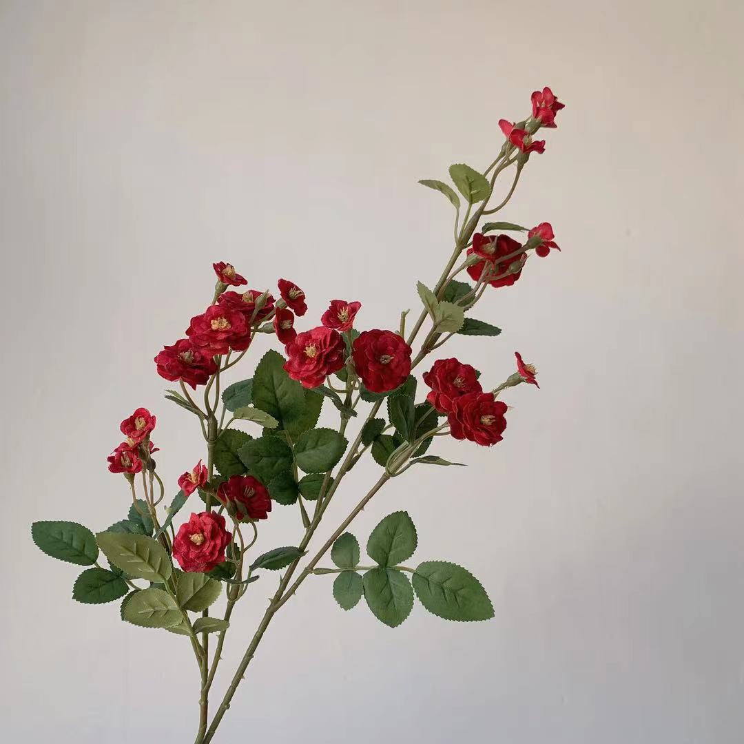 Elegante dekorative Blumenstängel