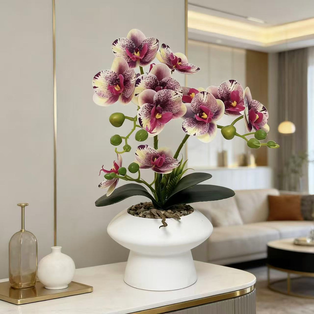 Dekorativer Orchideenblumenarrangement für die Heimanzeige