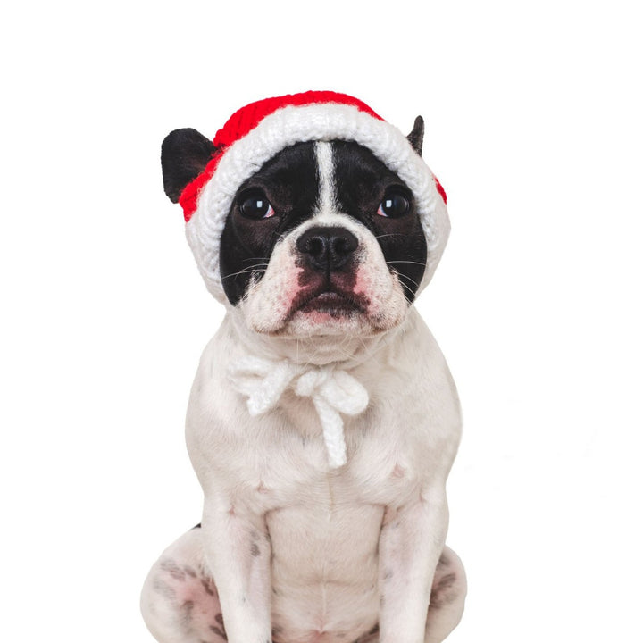 Lustige Weihnachtsmütze für Haustiere
