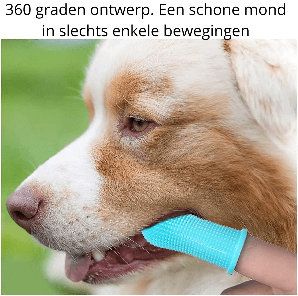 PAWCLEAN PRO – 360° Silikon-Fingerzahnbürste für stressfreie Zahnpflege bei Hunden