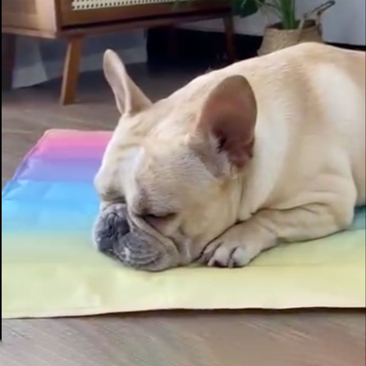IcePup Frenchie Sommer Kühlmatte mit fortschrittlicher Eis-Technologie | Karnz
