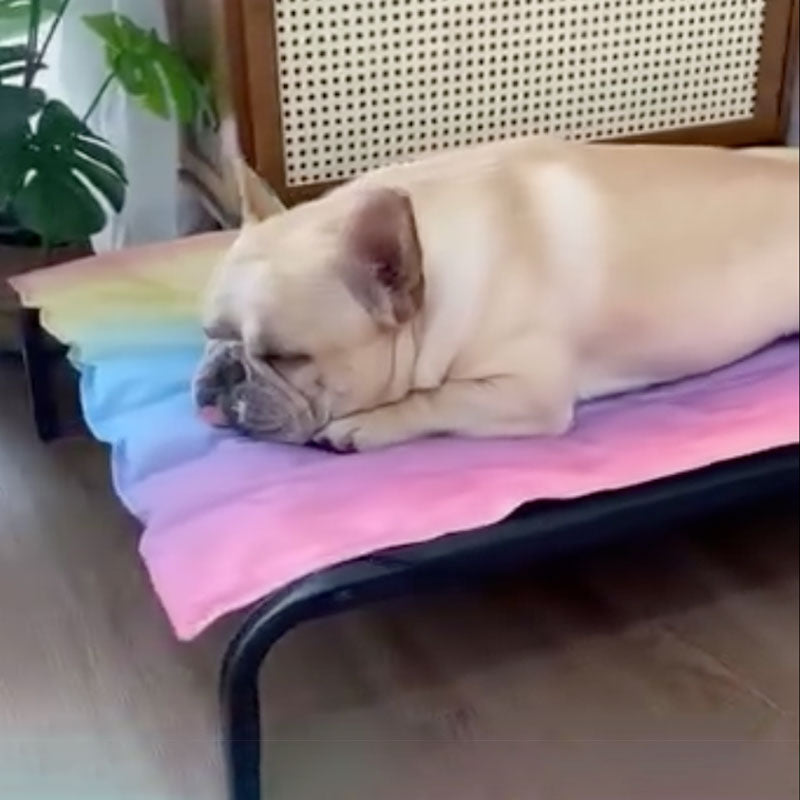 IcePup Frenchie Sommer Kühlmatte mit fortschrittlicher Eis-Technologie | Karnz