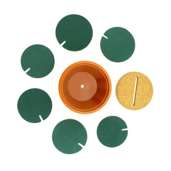 Potted Cactus Untersetzer | Karnz