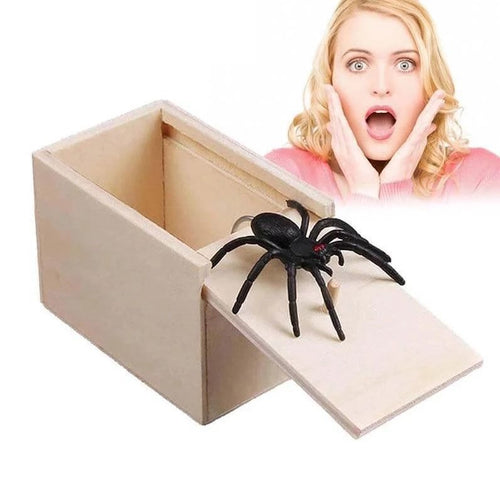 Spider Prank Box | Karnz