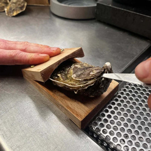 Premium Holzgriff Austernschalenöffner Zange