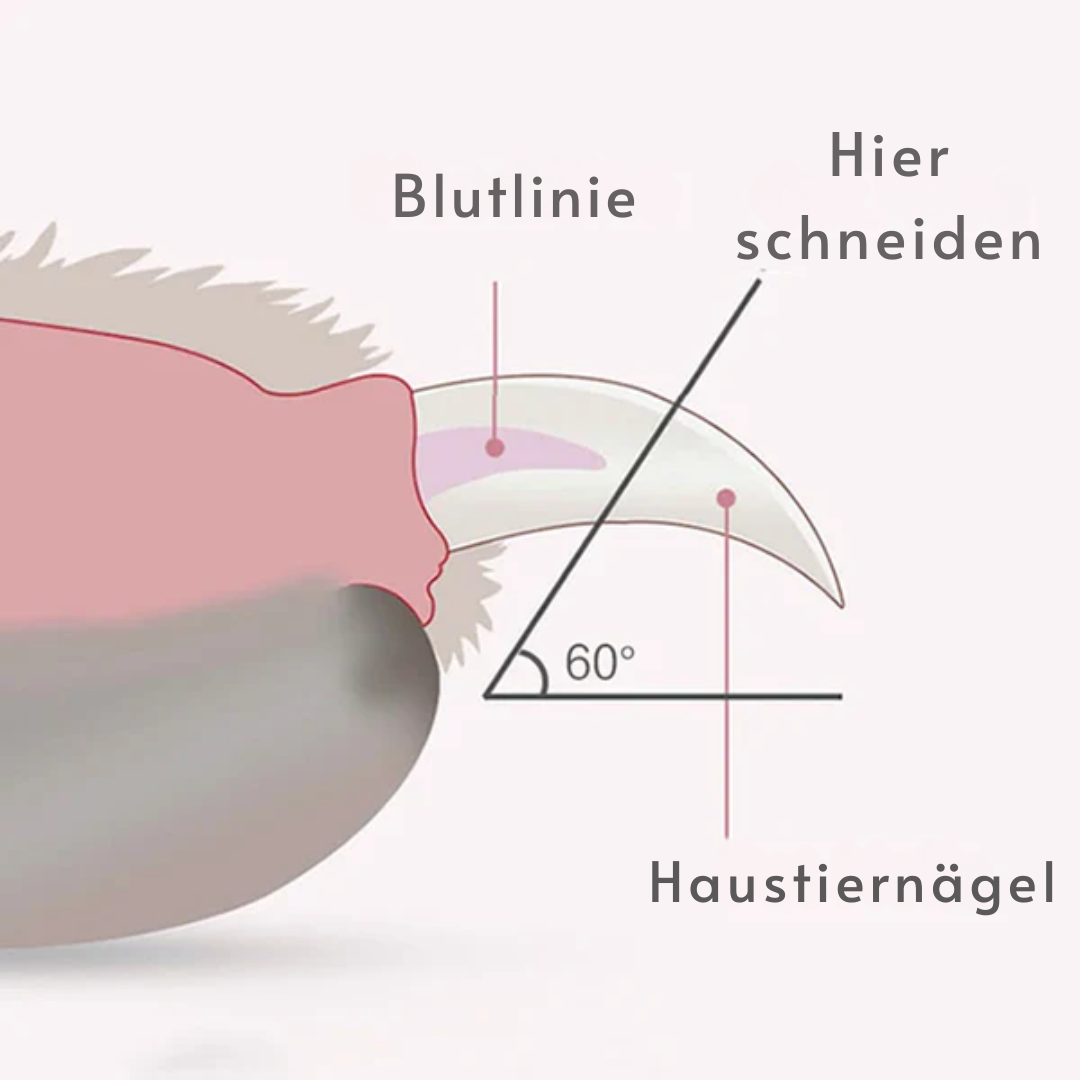 Claw Cutter mit LED-Licht & Sicherheitsverriegelung Karnz