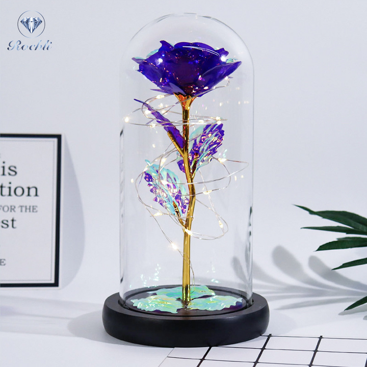 Rose in Glaskuppel Display | Karnz