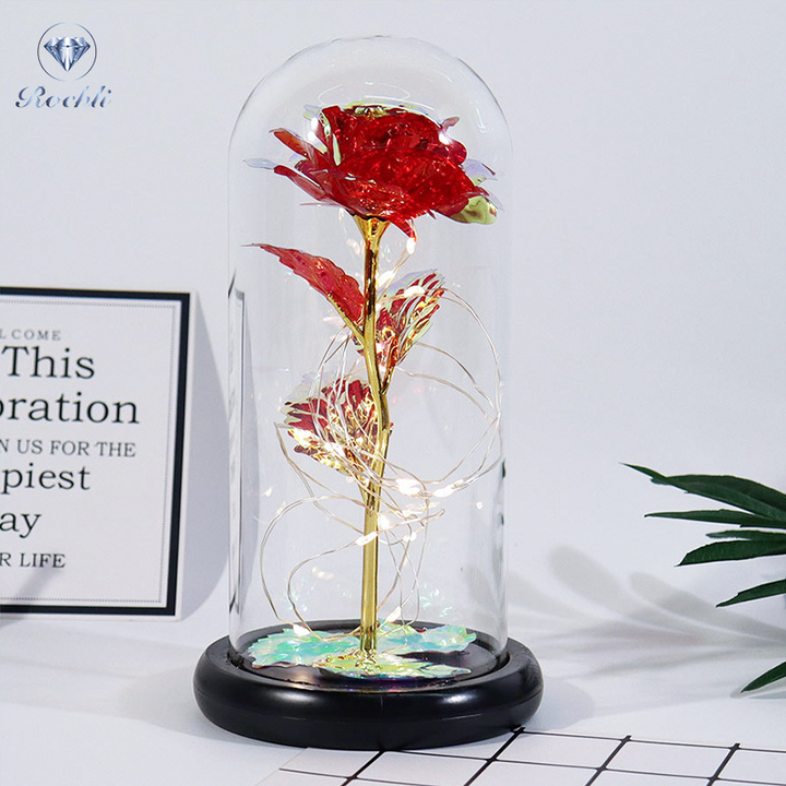 Rose in Glaskuppel Display | Karnz