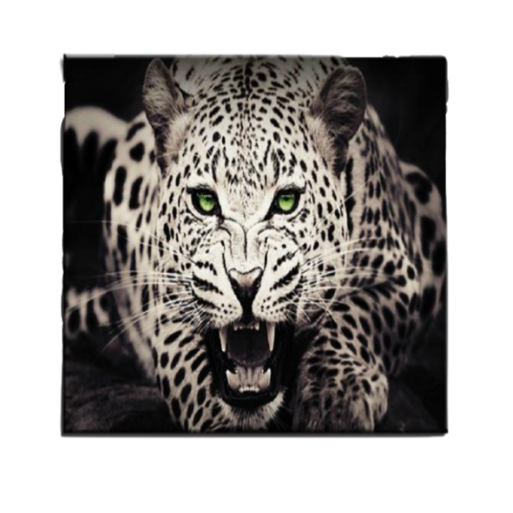 Feroz grüneräugiger Leopard - Leinwand Wandbild Malerei