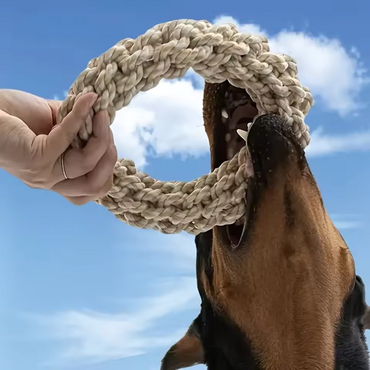 Robuste Baumwollkauerring für Hunde Karnz