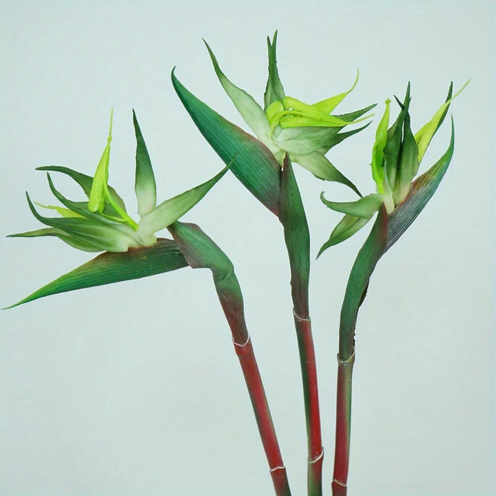 Karnz | Floriva 3-teiliges Set Künstliche Strelitzien | Paradiesvogelblumen | 24,5 cm Lange Stiele | Dekoration für Zuhause, Büro & Veranstaltungen