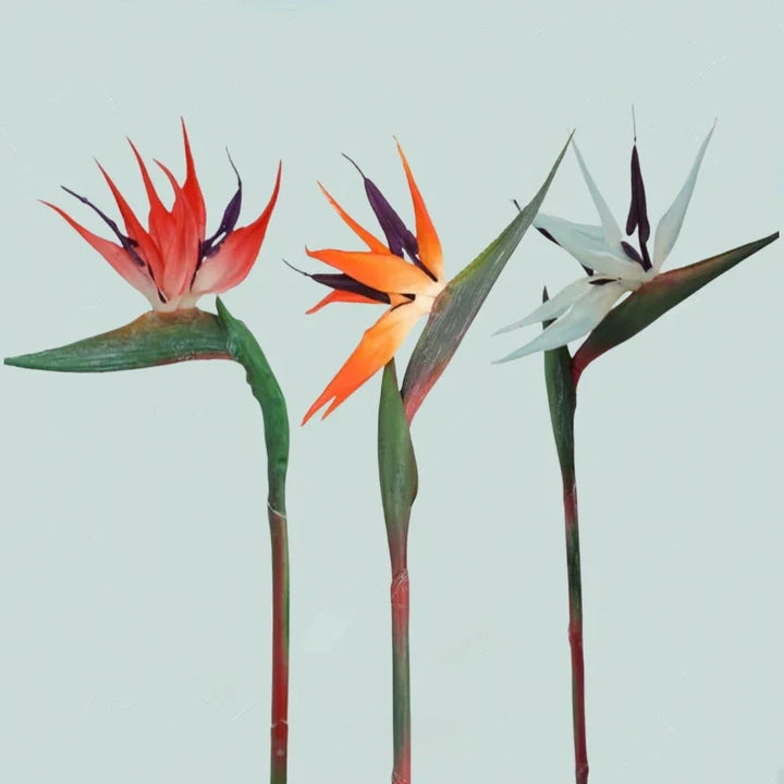 Karnz | Floriva 3-teiliges Set Künstliche Strelitzien | Paradiesvogelblumen | 24,5 cm Lange Stiele | Dekoration für Zuhause, Büro & Veranstaltungen