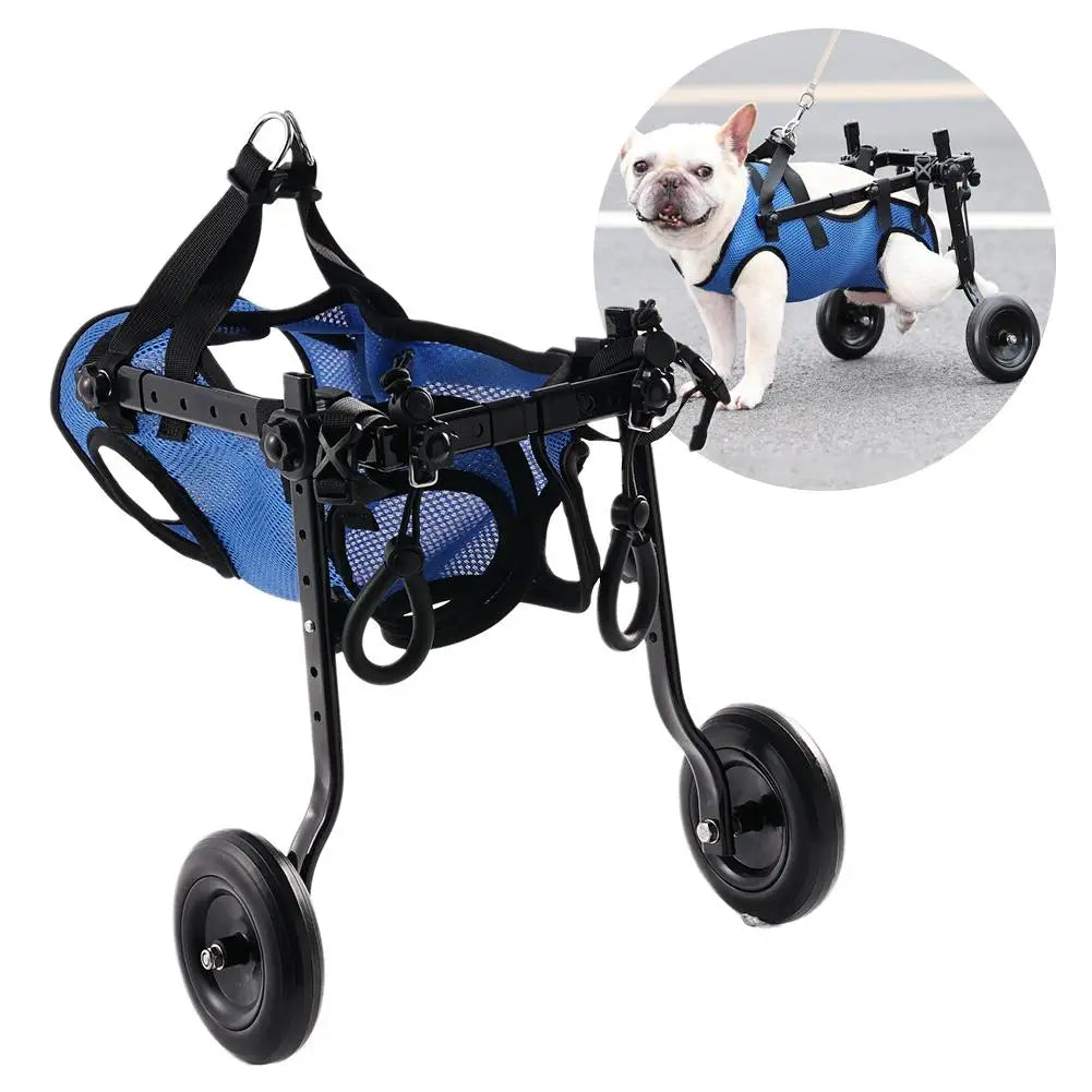 Karnz | Vetalino Hunderollstuhl für kleine Hunde | Verstellbarer Reha-Wagen | Leicht & Stabil | Mobilitätshilfe bei Gehproblemen