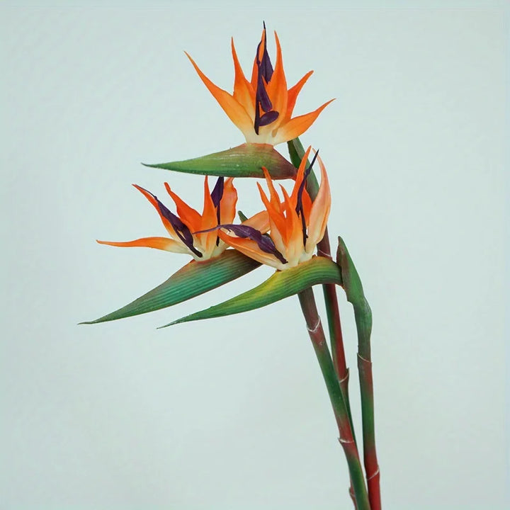 Karnz | Floriva 3-teiliges Set Künstliche Strelitzien | Paradiesvogelblumen | 24,5 cm Lange Stiele | Dekoration für Zuhause, Büro & Veranstaltungen