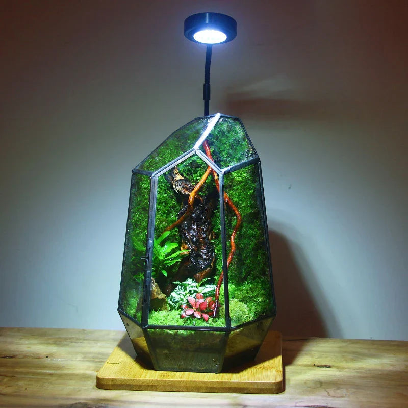 Moderner geometrischer naturinspirierter botanischer Terrarium | Karnz