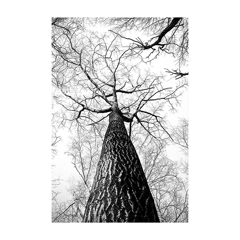 Nordische Wildnis Adler Reh Landschaft Wandkunst Fein Kunst Leinwanddrucke Bilder Für Wohnzimmer Esszimmer Nordische Heimdekoration | Karnz
