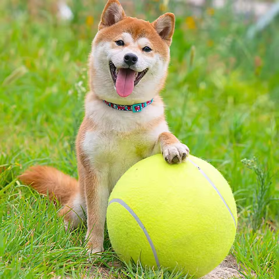 Extra große Tennisball für Hunde Karnz