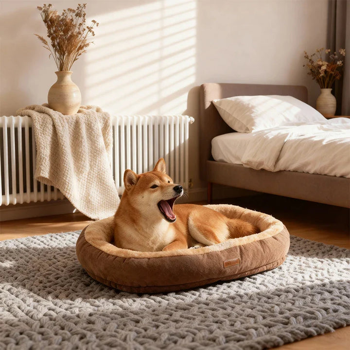Oval Plush Bett für Hunde & Katzen Karnz