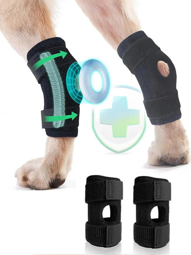 Orthopädische Gelenkstütze für Hunde stabilisierender Karnz