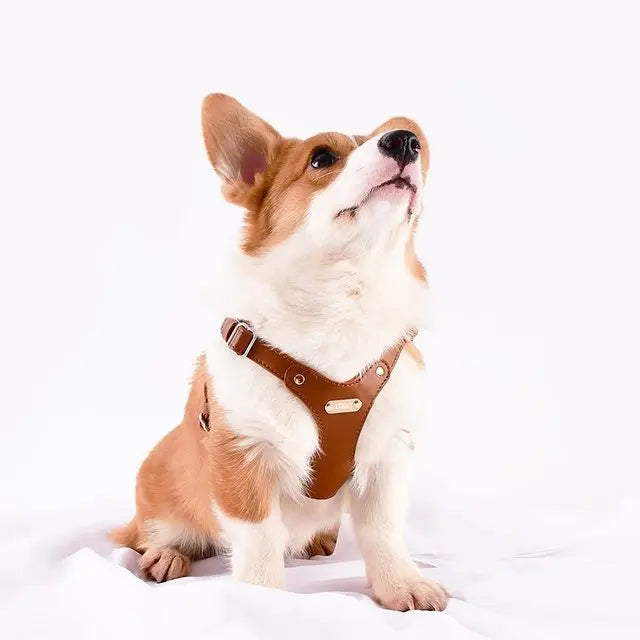 Verstellbares Leder-Hundegeschirr mit personalisierbarem Gravur Karnz