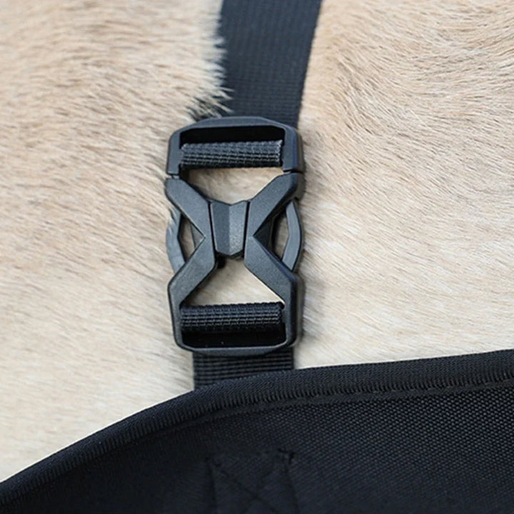 Reha-Hundegeschirr mit stabilem Tragegriff Karnz