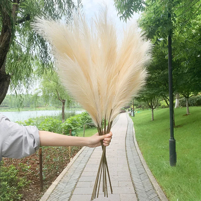 5 Stück 100 cm künstlicher Pampasgras-Trockenblumenstrauß, Dekoration für Hochzeiten, Partys, Zuhause, Zimmer, DIY-Kunstpflanzen-Dekorationszubehör
