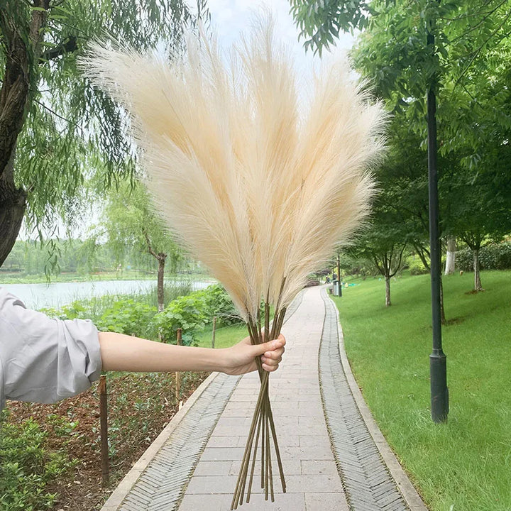 5 Stück 100 cm künstlicher Pampasgras-Trockenblumenstrauß, Dekoration für Hochzeiten, Partys, Zuhause, Zimmer, DIY-Kunstpflanzen-Dekorationszubehör