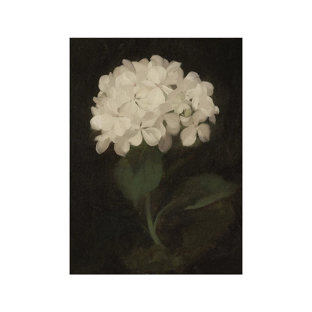 Vintage Vogue Galerie Wandkunst Landschaften Portrait Floral Abstrakt Portrait Skizze Fine Art Leinwanddrucke Bilder für das Wohnzimmer | Karnz