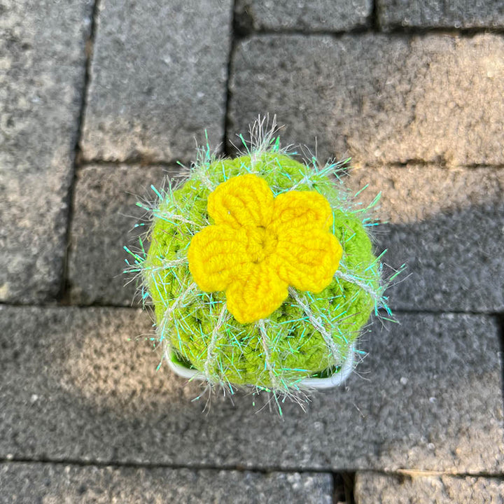 Handgestrickte Kaktee