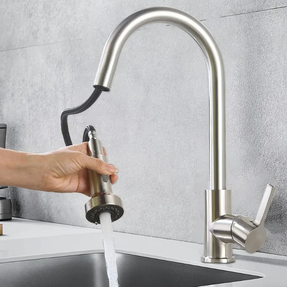 AquaFlex DuoSpray – Multifunktionaler Küchen-Sprühaufsatz mit 2 Sprüharten Karnz