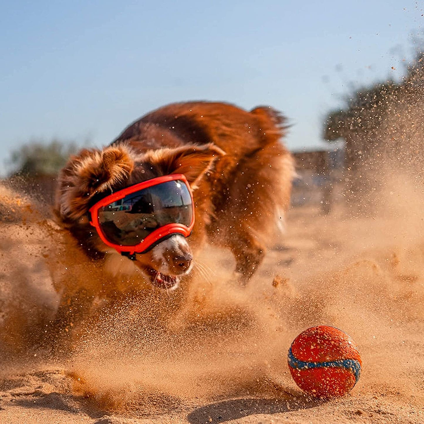 Hunde-Sonnenbrille mit UV-Schutz winddicht verstellbar Karnz