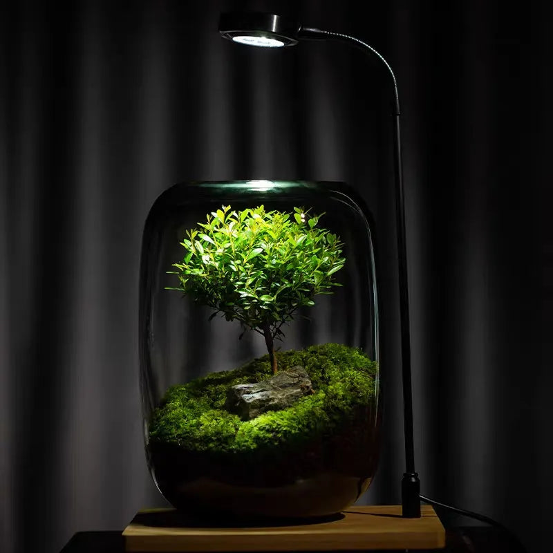 Micro Landschaft Grüner Oase Glasvase | Karnz