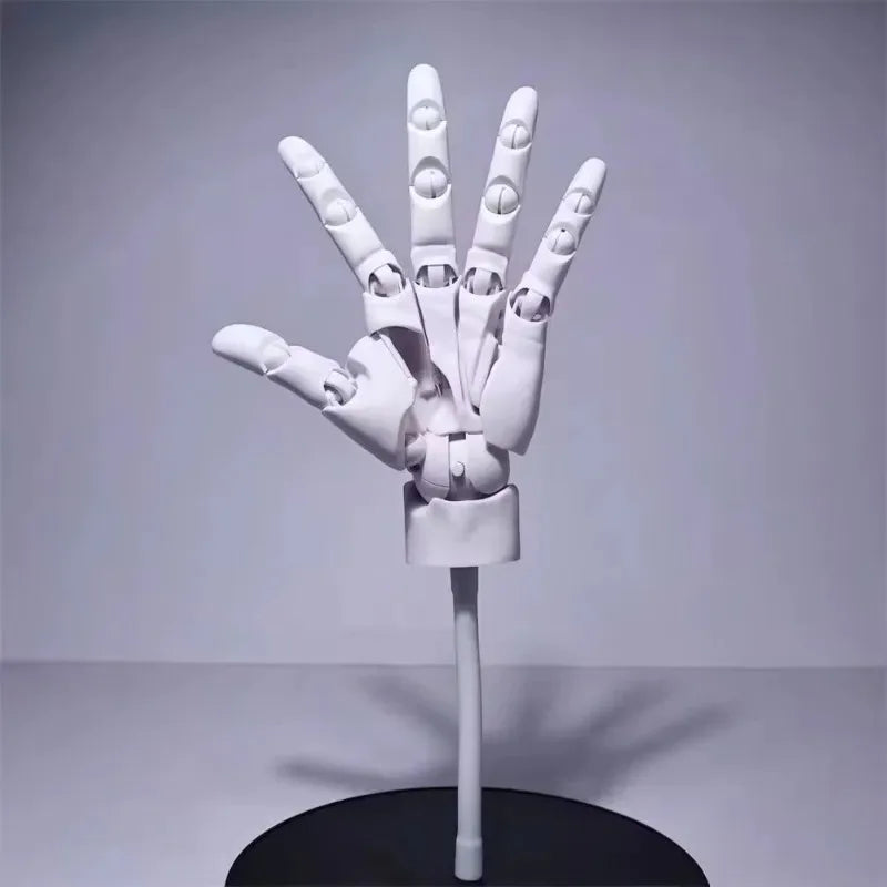 Multi-Pose Zeichnen Modellieren Kunst Handmodell