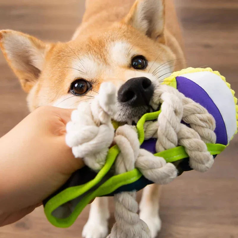 Robustes Hundespielzeug Sneaker mit Seil und Quietscherfunktion Karnz