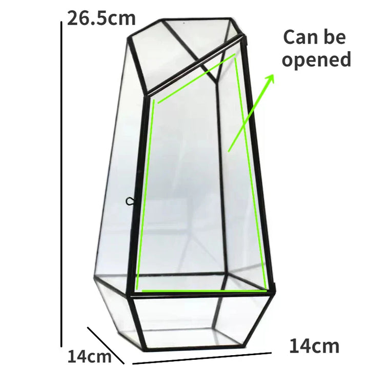 Moderner geometrischer naturinspirierter botanischer Terrarium | Karnz