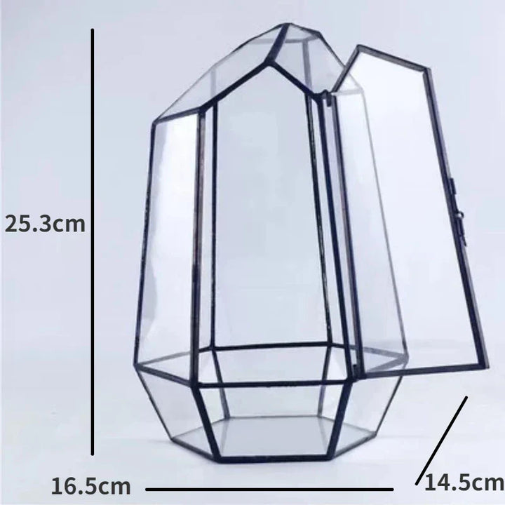 Moderner geometrischer, von der Natur inspirierter botanischer Terrarium
