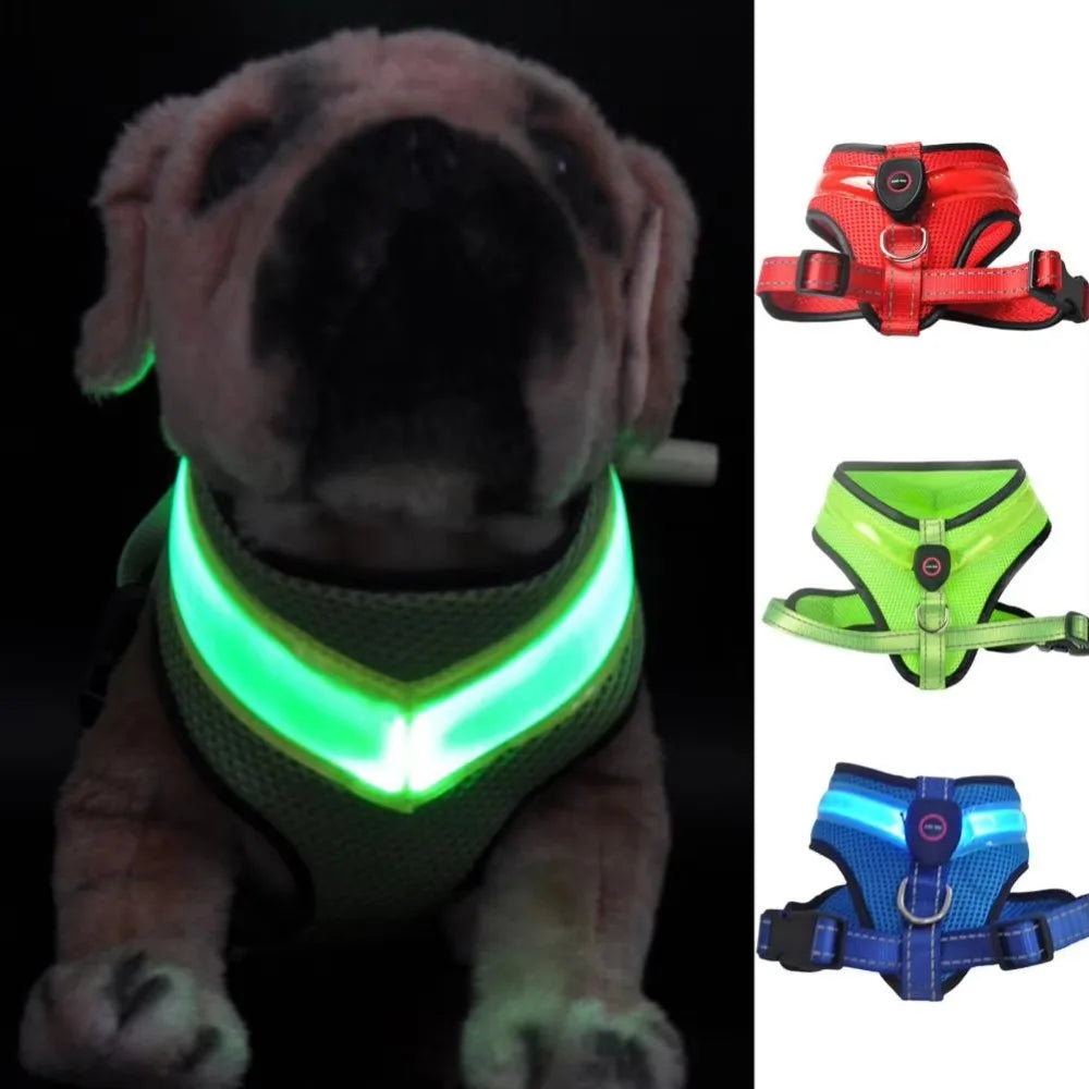 LED Hundegeschirr USB wiederaufladbar & verstellbar Karnz