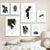 Minimalistische grüne Blätter moderne botanische Exemplare Wandkunst Fine Art Leinwanddrucke Galerie Wandbilder für Wohnzimmer Esszimmer Kunstdeko | Karnz