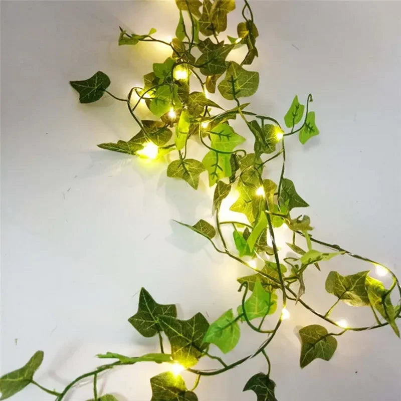 GreenGlow Lichterkette - Für eine Gemütliche Natürliche Beleuchtung | Karnz