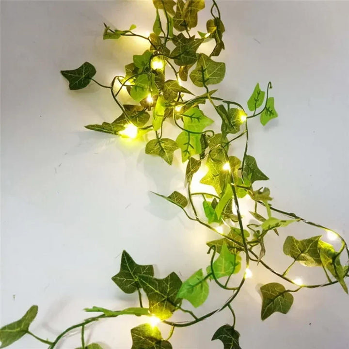 GreenGlow Lichterkette - Für eine Gemütliche Natürliche Beleuchtung | Karnz