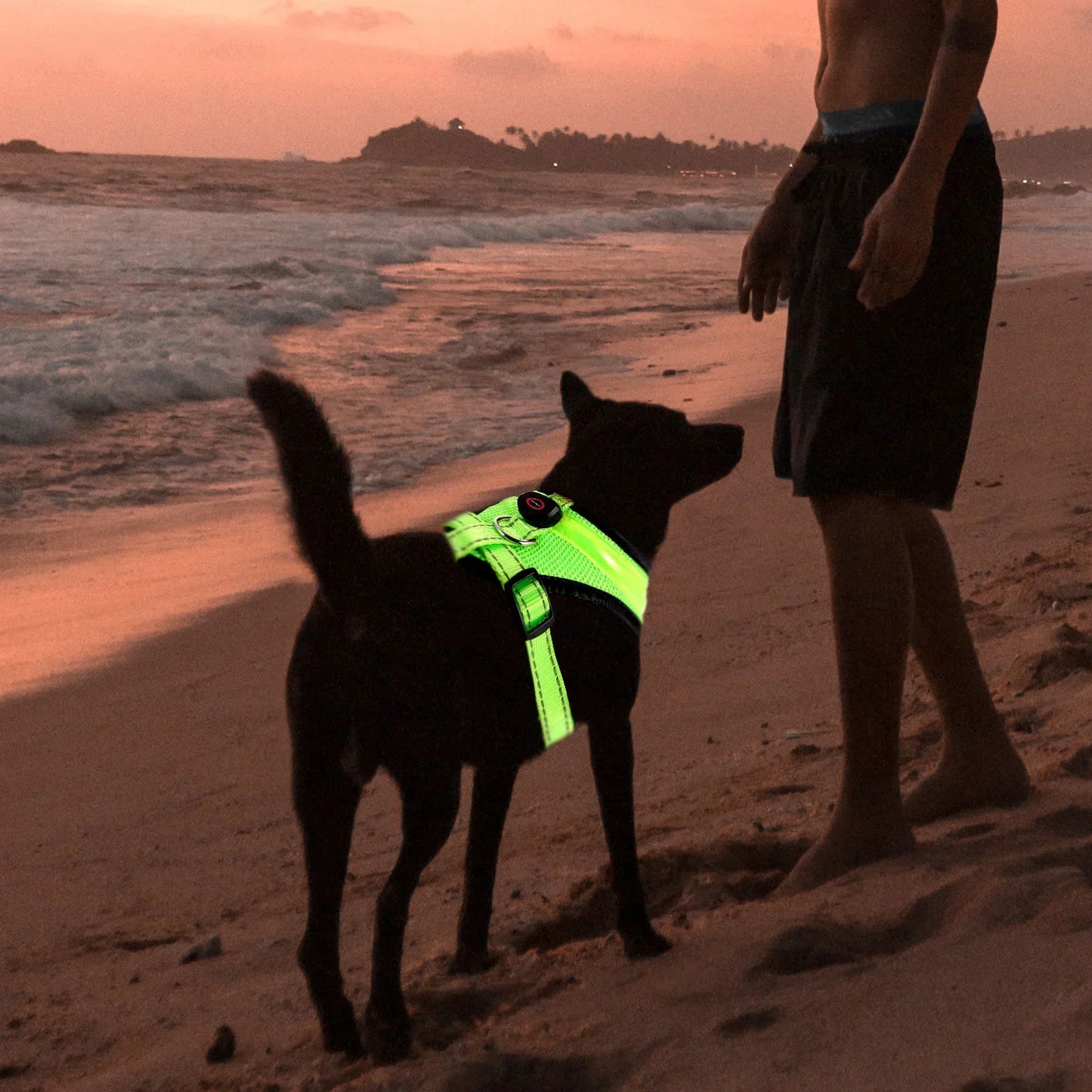 LED Hundegeschirr USB wiederaufladbar & verstellbar Karnz