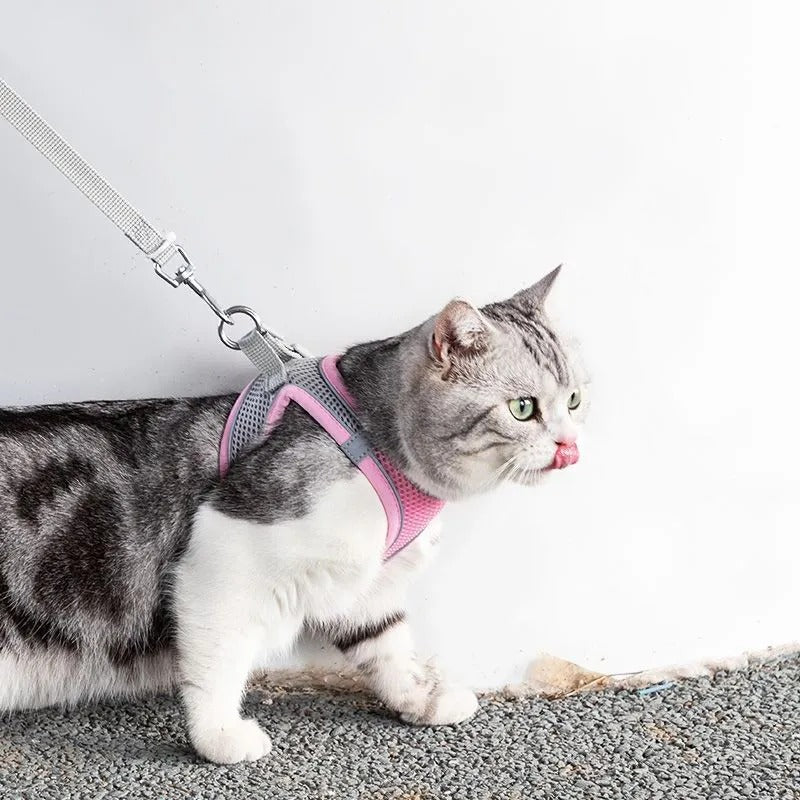 Abenteuerliches Katzengeschirr mit Leine – Verstellbar und Reflektierend | Karnz