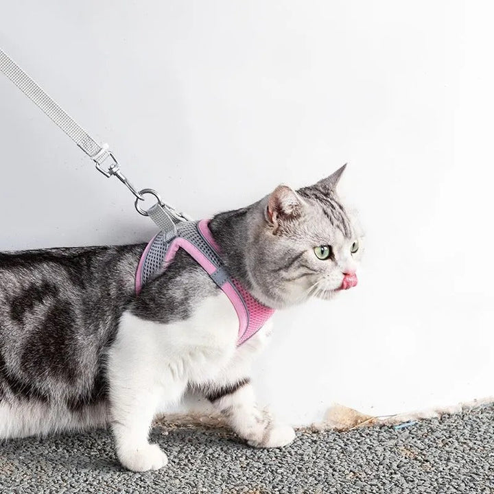 Abenteuerliches Katzengeschirr mit Leine – Verstellbar und Reflektierend | Karnz