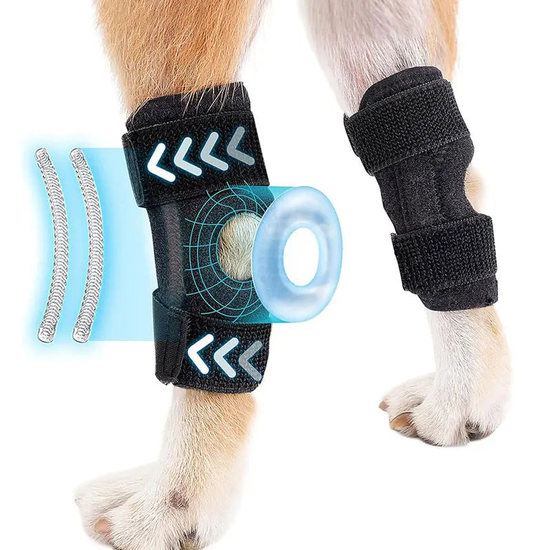 Orthopädische Gelenkstütze für Hunde stabilisierender Karnz