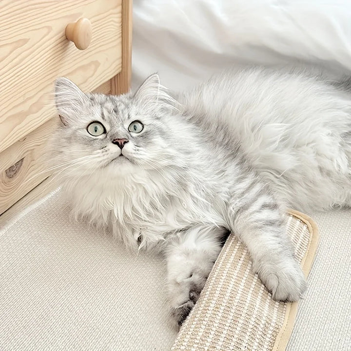 Kratzkissen für Katzen mit Katzenminze langlebig und robust Karnz