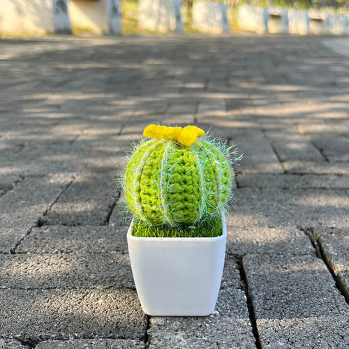 Handgestrickte Kaktee