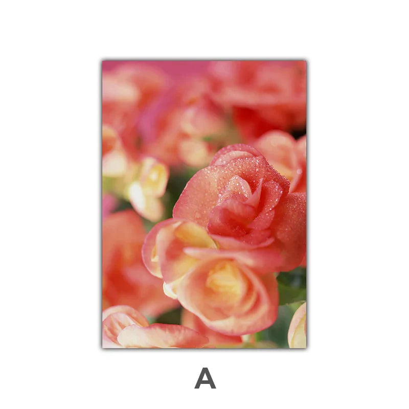 Rosa rote Rosen florale Wandkunst Feine Kunst Leinwanddrucke Moderne botanische Poster Bilder für Wohnzimmer, Schlafzimmer Kunst Dekor | Karnz
