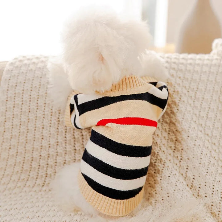 Hundekardigan aus gestricktem, warmem und gestreiftem Karnz